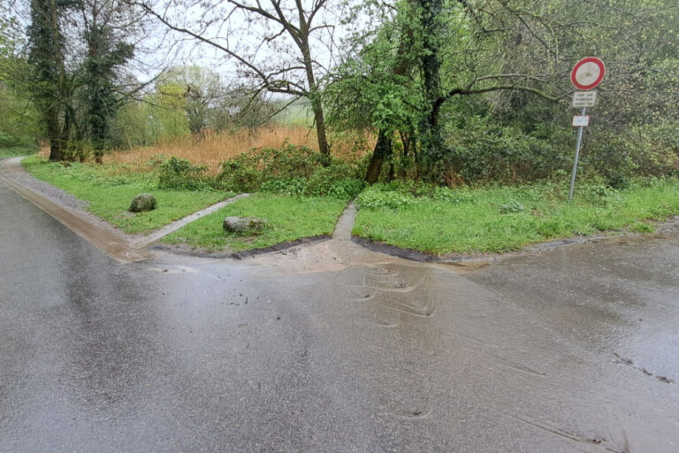 nasse Straße, Natur