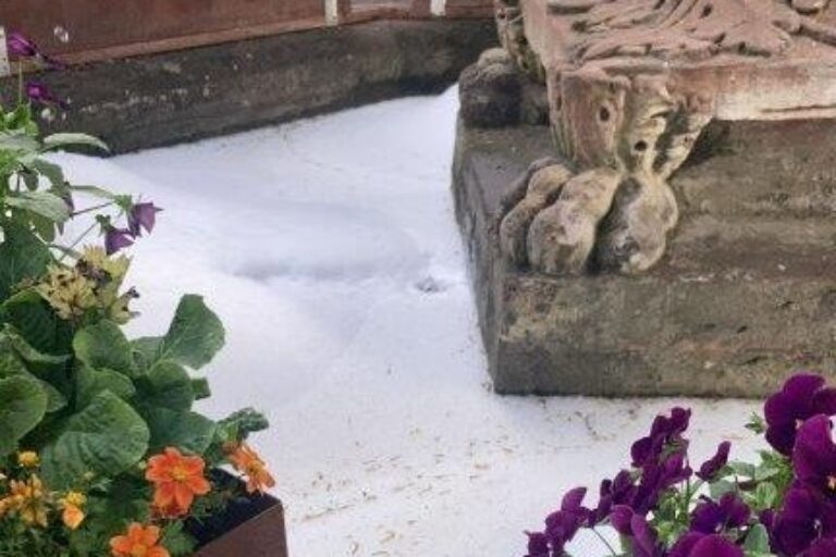 Brunnen von innen, Blumentöpfe