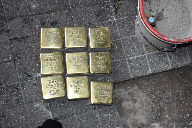 Neun Stolpersteine auf Pflasterstein