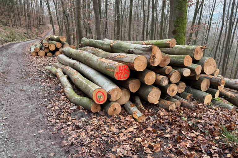 Brennholzverkauf im Bensheimer Stadtwald