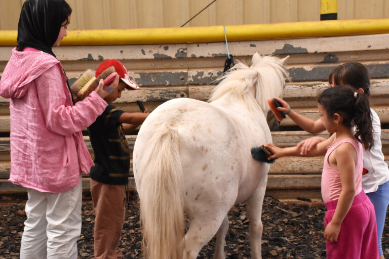 weißes Pferd mit Kinder drumherum
