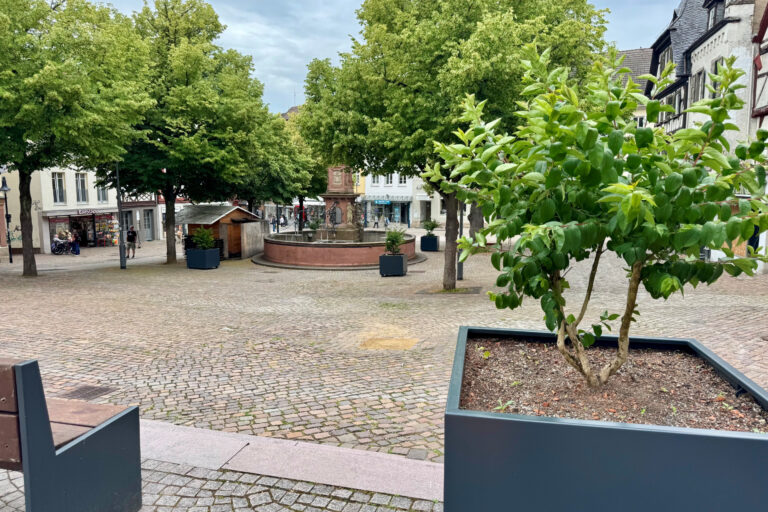 Markplatz von Bensheim mit eingepflanzten Pflanzen in neuen Kübeln