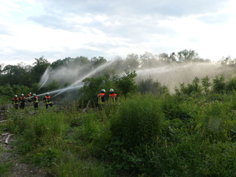 Feuerwehrmänner und -frauen stehen in einem Waldstück und löschen