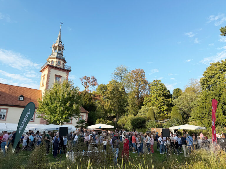 Weinprobe bei blauem Himmel im Stadtpark
