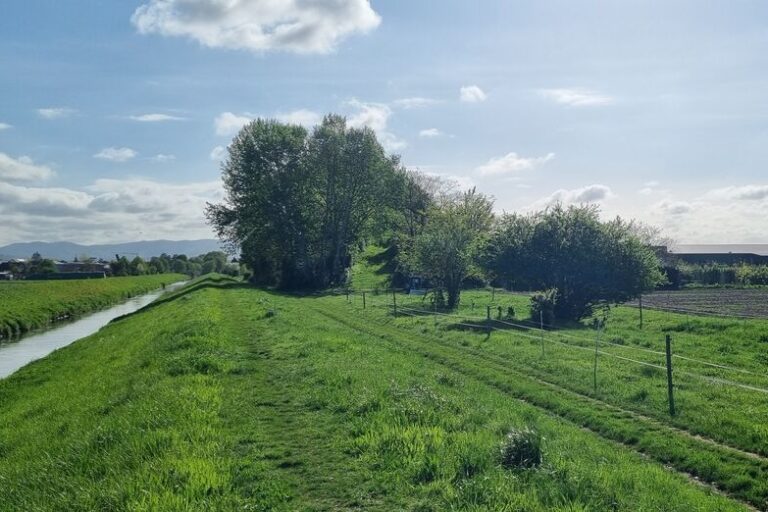 Einhausen-West Deichsanierung: Grüne Wiese, kleiner Bachlauf